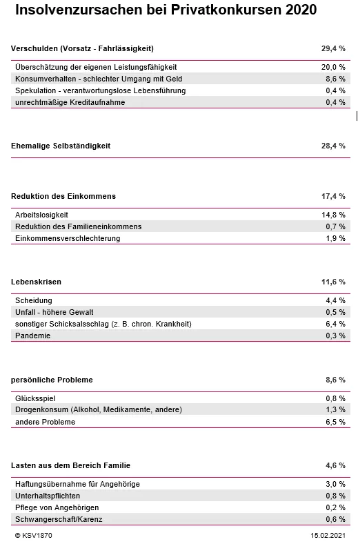 KSV1870 Insolvenzursachen Private 2020