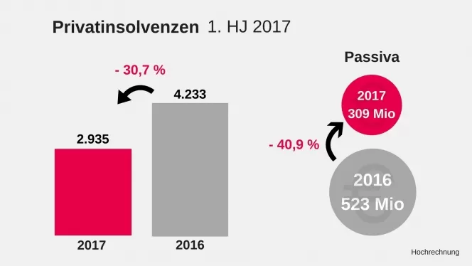 Privatinsolvenzen 1. HJ 2017