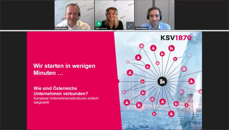 Webinar Visualisierung