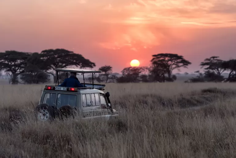 Ein Geländeauto fährt durch hohes Gras, im Hintergrund Bäume und ein Sonnenuntergang 