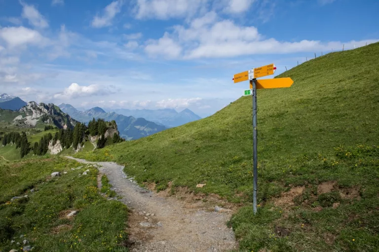 Wanderweg mit Beschilderung in unterschiedliche Richtungen