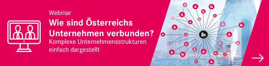 Webinar Visualisierung Hero