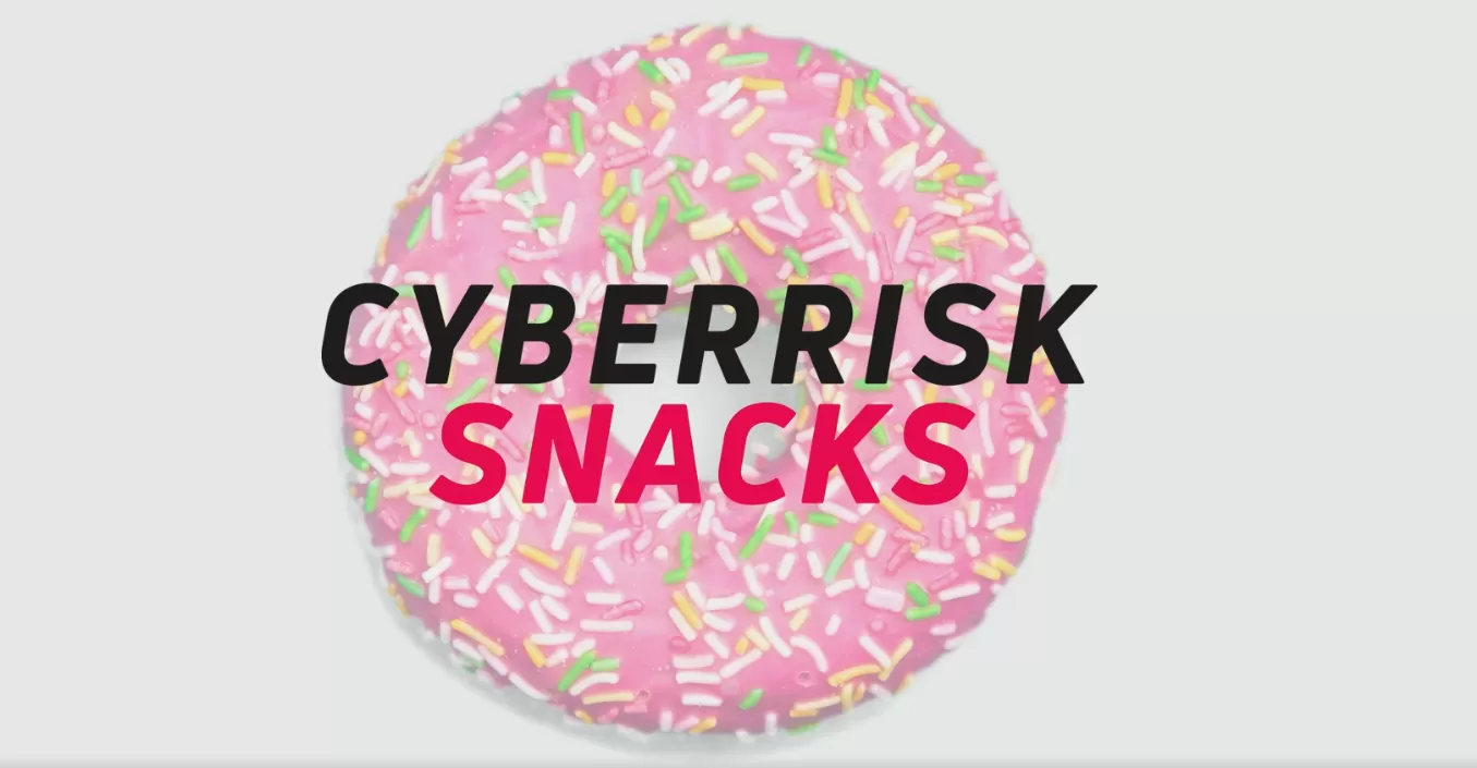 CyberRisk Snacks