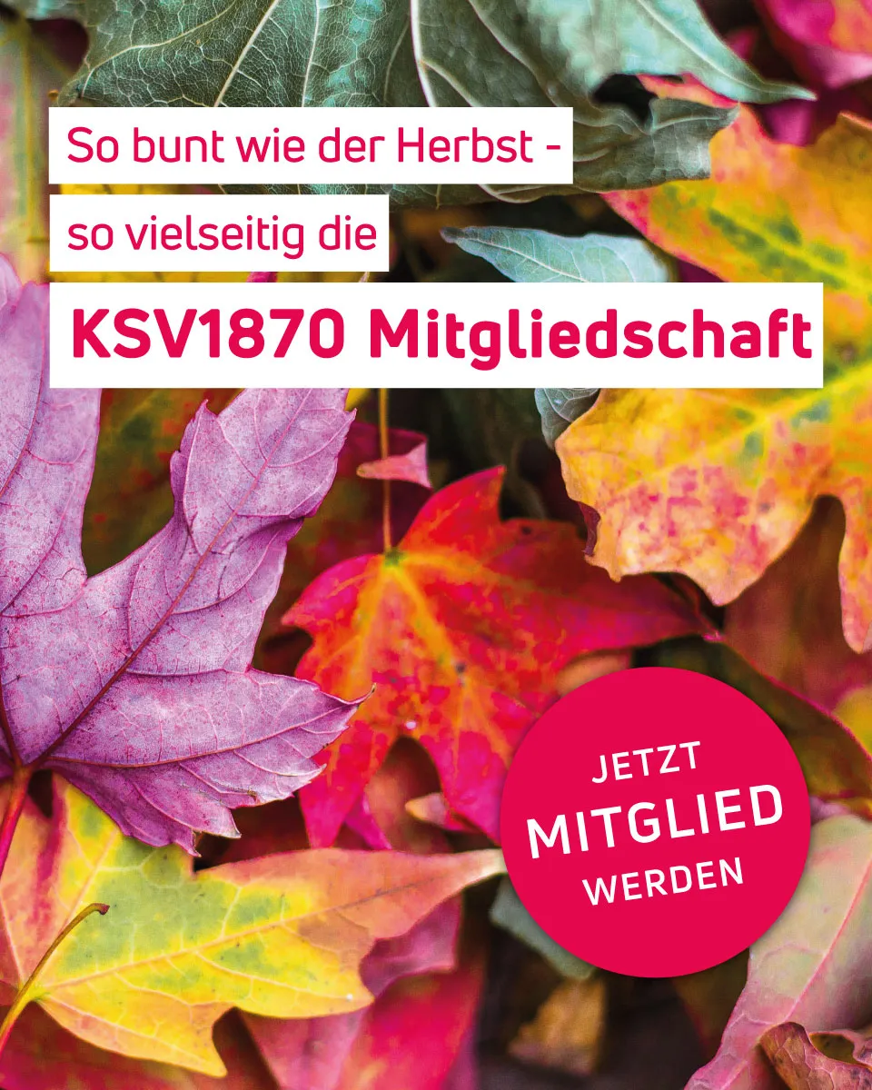 Promo Herbst Mitgliedschaft